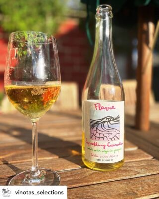 Posted @withregram • @vinotas_selections Sparkling Etna?  What?  Yes, and it's deeeeeelish...

#vinotasselections #winesofinstagram #smallgrowersrock #winehunter #wineimporter #organic #biodynamic #natural #naturalwine #nattywine #wine #wines #yummy #instawine #instagood #vinnature #vinnaturel #sanssoufre #vinvivant #love #happy #happiness #italy #sicily #etna #catarratto #womanwinemaker #sparkling #sparklingwine @drsugarman @carlaaurichstudio