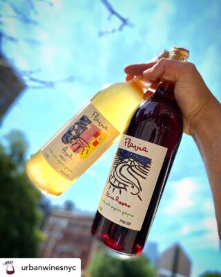 Posted @withregram • @urbanwinesnyc New “litri” to the collection. @flaviarebelliouswines are awesome, dude. Nerello and Grillo.
.
.
.
.
.
#vin #vino #vinodisicilia #sicilianwine #siciliane #etna #hellyeah #badass #organic #vinoitaliano #viniitaliani #wine #wein #winenyc #nycwine #eastvillage #lowereastside #liter #summer #weekend #fun #cheers #salud #wineshop #natural @vinotas_selections